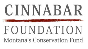 Cinnabar Foundation logo