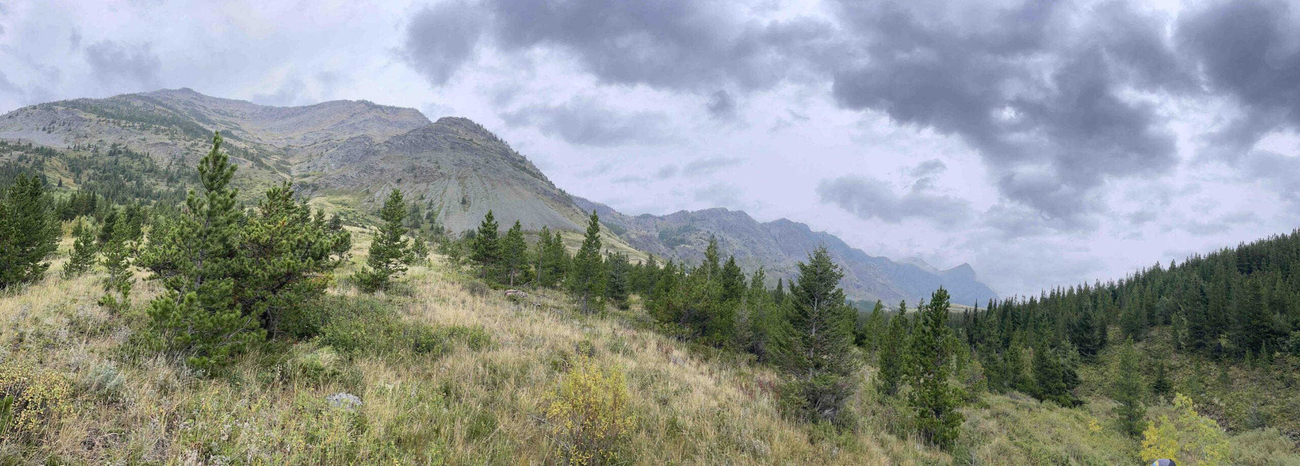 A beautiful view from the hike to Autumn Creek.